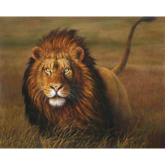 Frameless 40x50 Lion Digital Oil Painting - Holy Mango Store