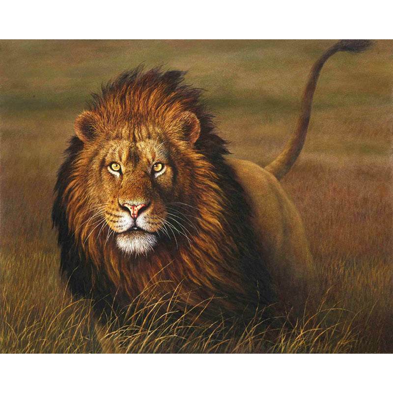 Frameless 40x50 Lion Digital Oil Painting - Holy Mango Store