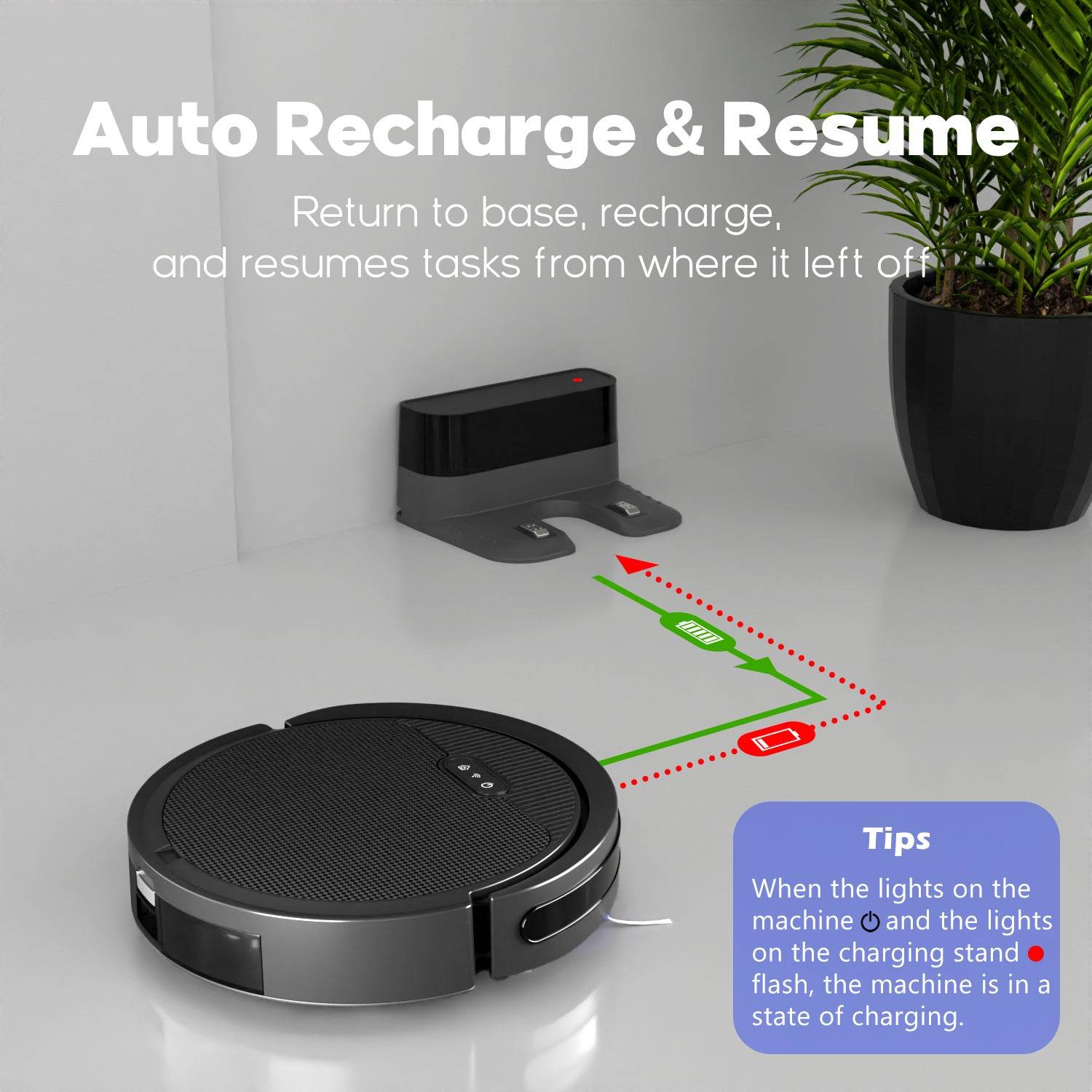 Robot Vacuum And Mop, 3 In 1 Combo Cleaner For Home With Pet Hair And Hard Floor, 5000Pa Suction, 120 Mins Run Time,Self-Charging,Super Thin Body - Holy Mango Store